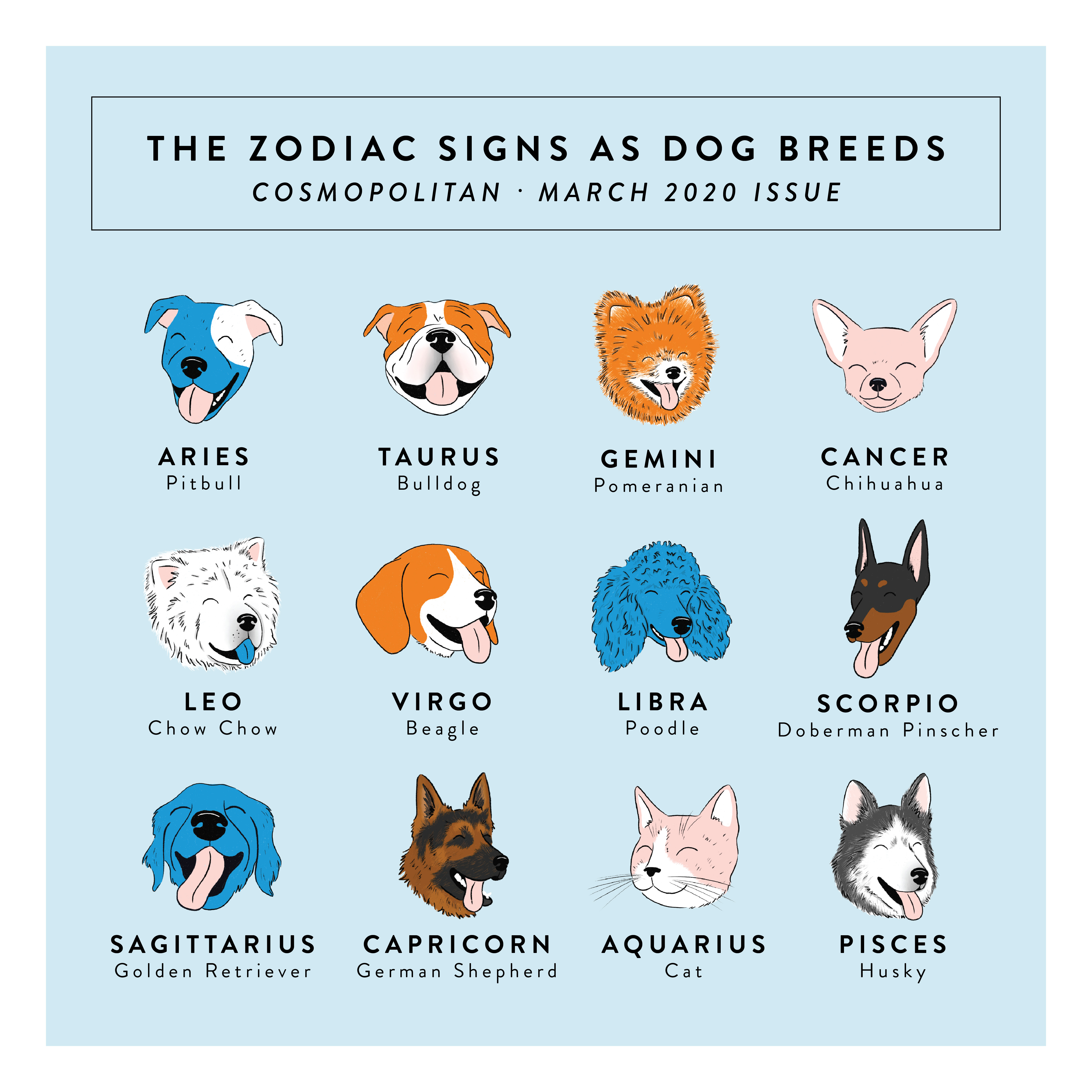 Zodiac Signs as Dog Breeds Megan Roy
